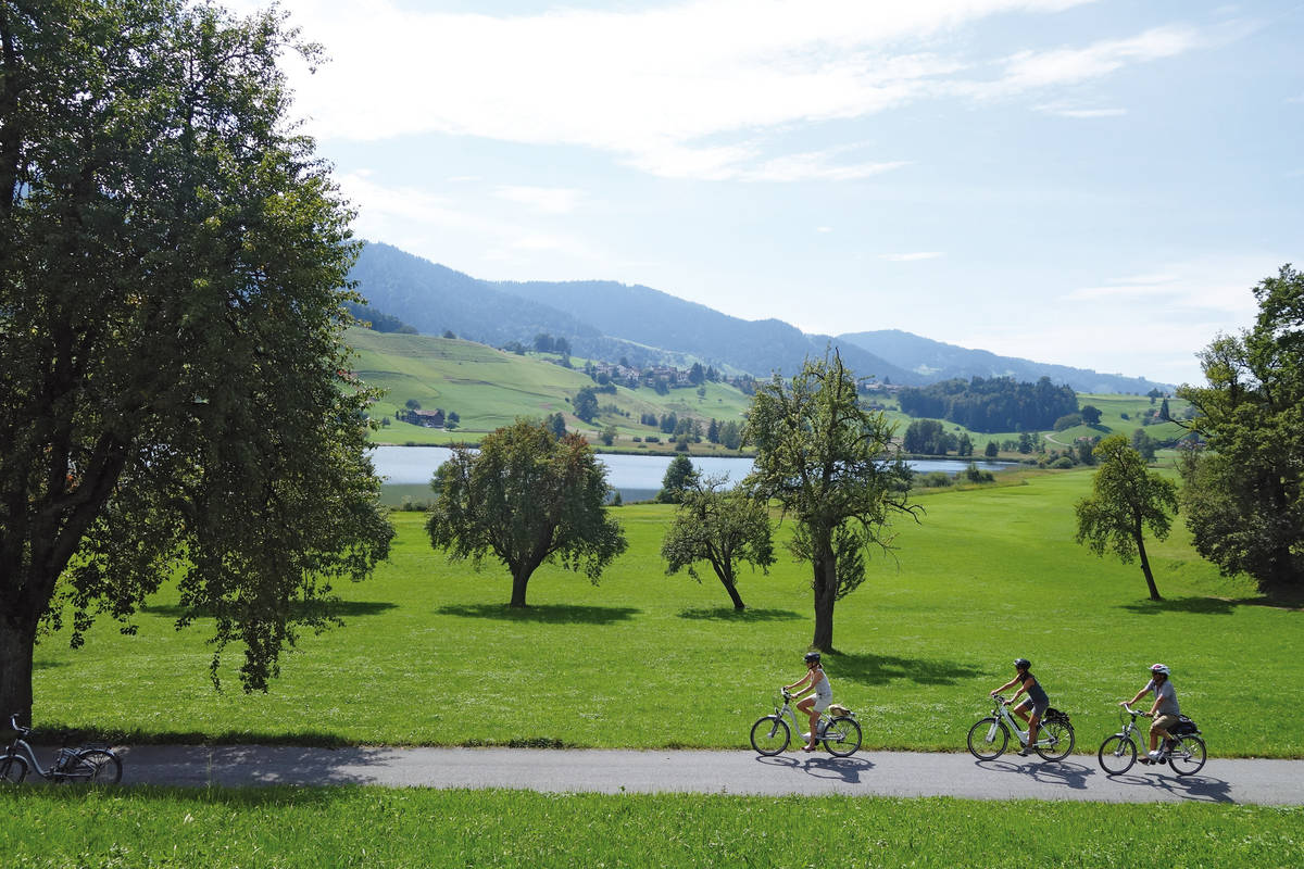 Der Hüttnersee liegt traumhaft  eingebettet zwischen grünen Hügeln.