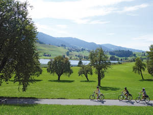 Der Hüttnersee liegt traumhaft  eingebettet zwischen grünen Hügeln.