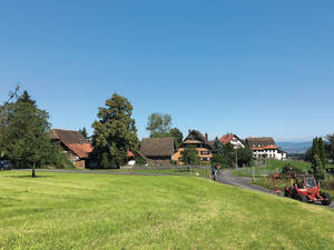 Landwirtschaftsbetriebe säumen den Weg zwischen Horgenberg und Hirzel.