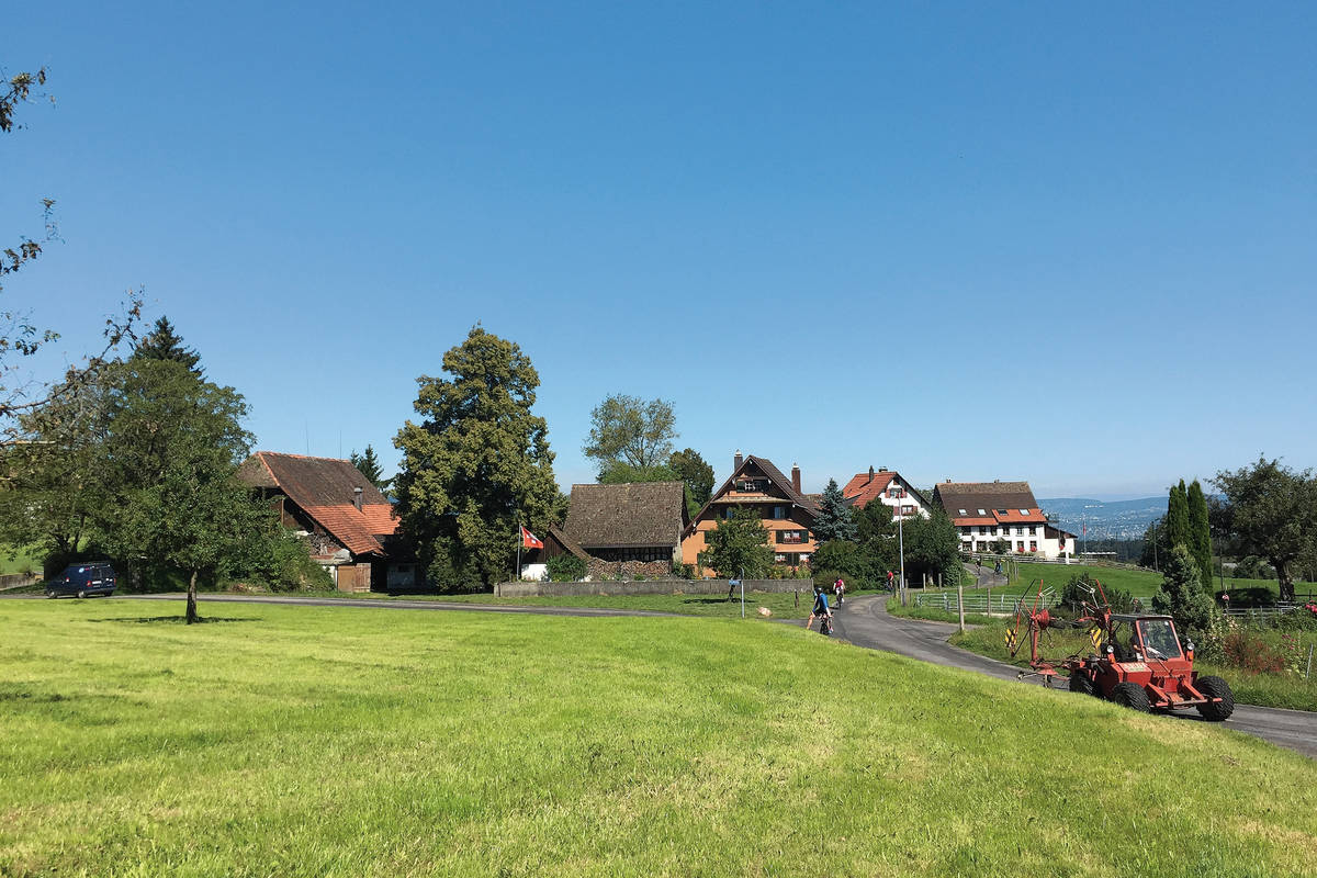 Landwirtschaftsbetriebe säumen den Weg zwischen Horgenberg und Hirzel.