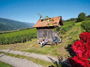 Weinberge, wohin das Auge reicht. Im milden Klima des Bündner Rheintals werden in erster Linie Burgunder-Rebsorten, aber auch Cabernet Sauvignon, Merlot und sogar Syrah angebaut. (Foto: Heidiland)