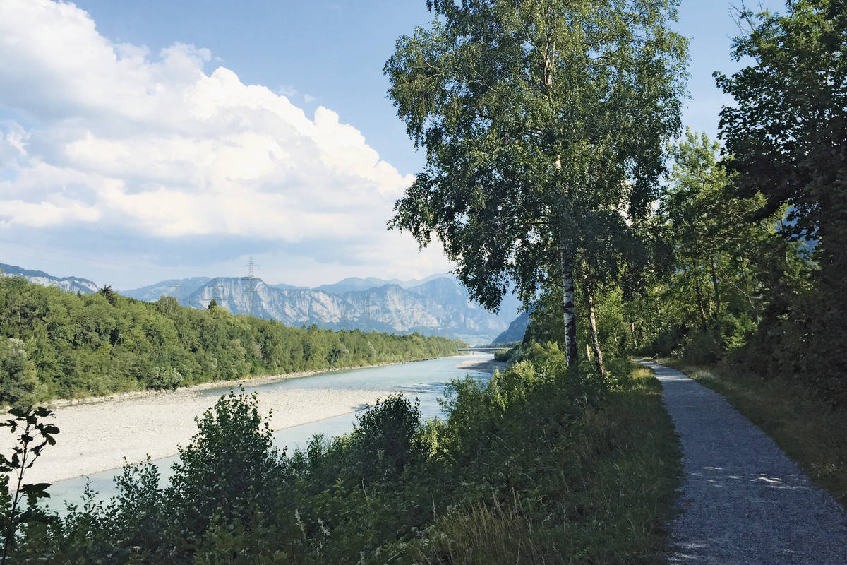 Auf dem malerischen Rhein-Uferweg biken wir zurück, an Landquart vorbei, nach Chur. (Foto: Maja Fueter)