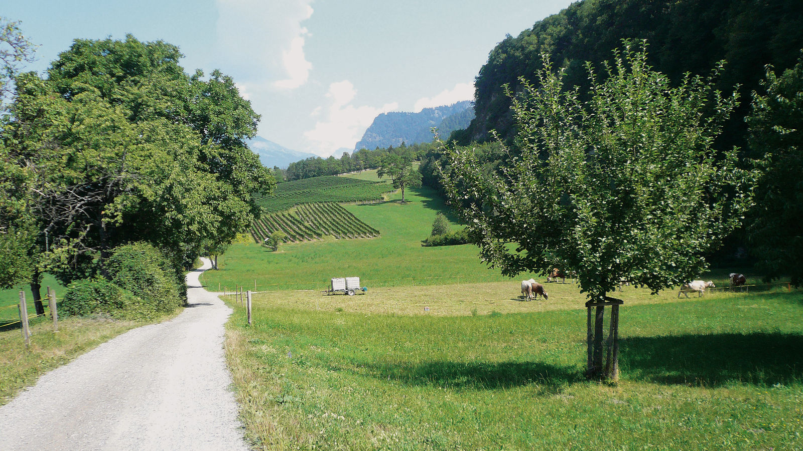 Graubünden: Churer Rheintal – Bündner Herrschaft