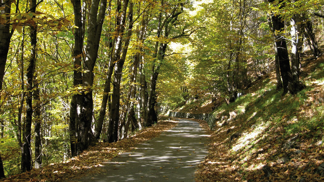 Tessin: 900 Höhenmeter easy biken