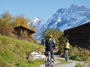 Wir radeln vorbei an Magerwiesen und den dunklen Holzspeichern, stetig hoch Richtung Tellialp.