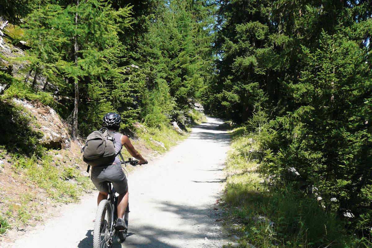 Waldabschnitte sind rar, meist ist der Forstweg der Sonne ausgesetzt.