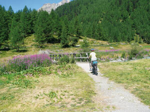 Kurz hinte dem Campingplatz bis zum Hotel Fafleralp sind es nur noch wenige hundert Meter.