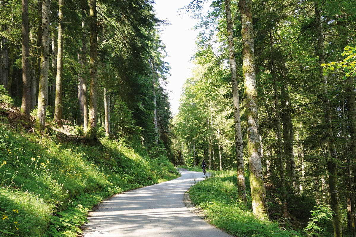 Die Tour führt am Anfang durch ein Waldstück, danach dominiert die weite Ebene der Jurahochweide.