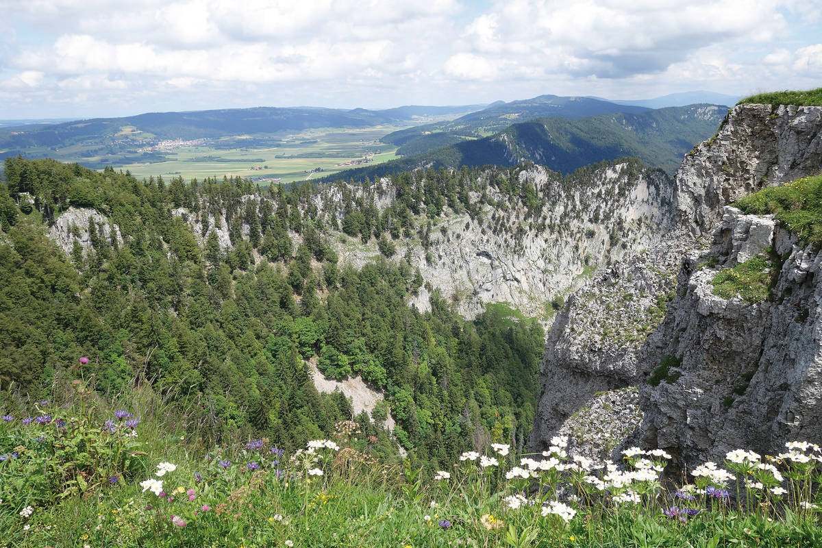 Der Creux du Van ist ein Naturschutzgebiet, in dem zahlreiche Wildtieren leben und seltene Pflanzen wachsen.