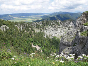 Der Creux du Van ist ein Naturschutzgebiet, in dem zahlreiche Wildtieren leben und seltene Pflanzen wachsen.