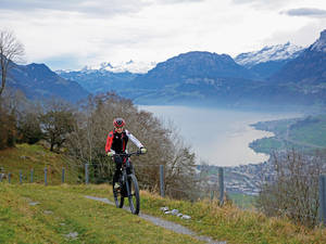 Blick auf Buochs und Seelisberg