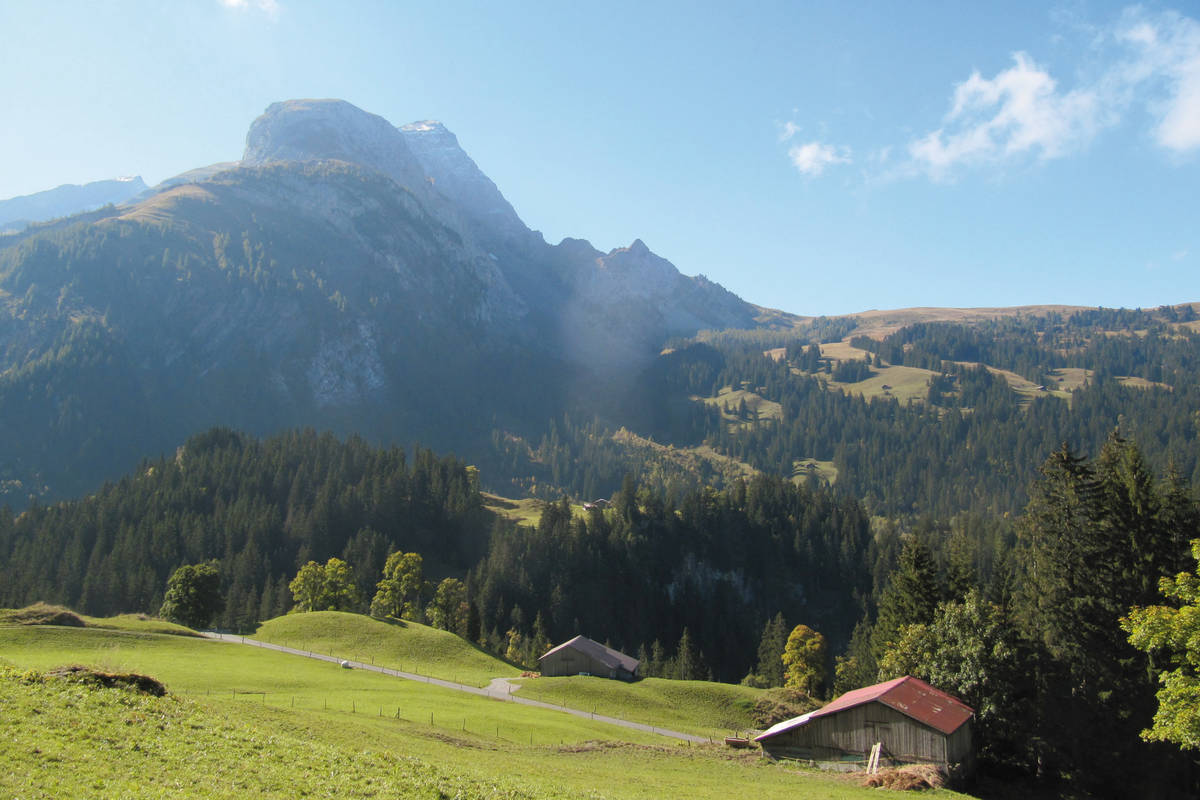 Die Anstrengung wird entschädigt durch den traumhaften Blick in die Berner Alpen und in die idyllische Umgebung.