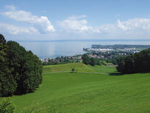 Vom Zug aus erkennen wir mehr und mehr – je höher hinauf wir fahren – die Umrisse des Bodensees.