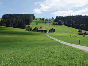 Im Gehöft auf der Hügelkette wohnt der Bauer, dem wir begegnen, als er gerade seinen am Fahrweg stehenden Briefkasten leert.