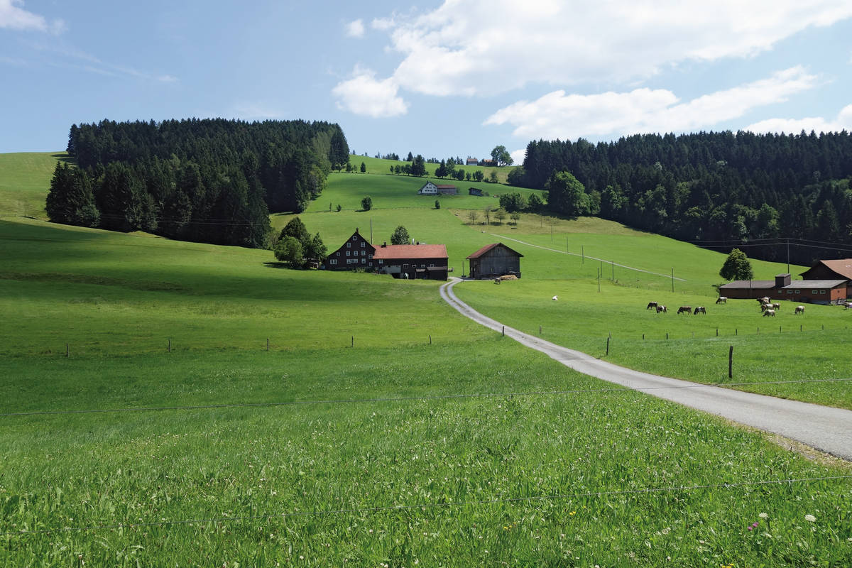 Im Gehöft auf der Hügelkette wohnt der Bauer, dem wir begegnen, als er gerade seinen am Fahrweg stehenden Briefkasten leert.