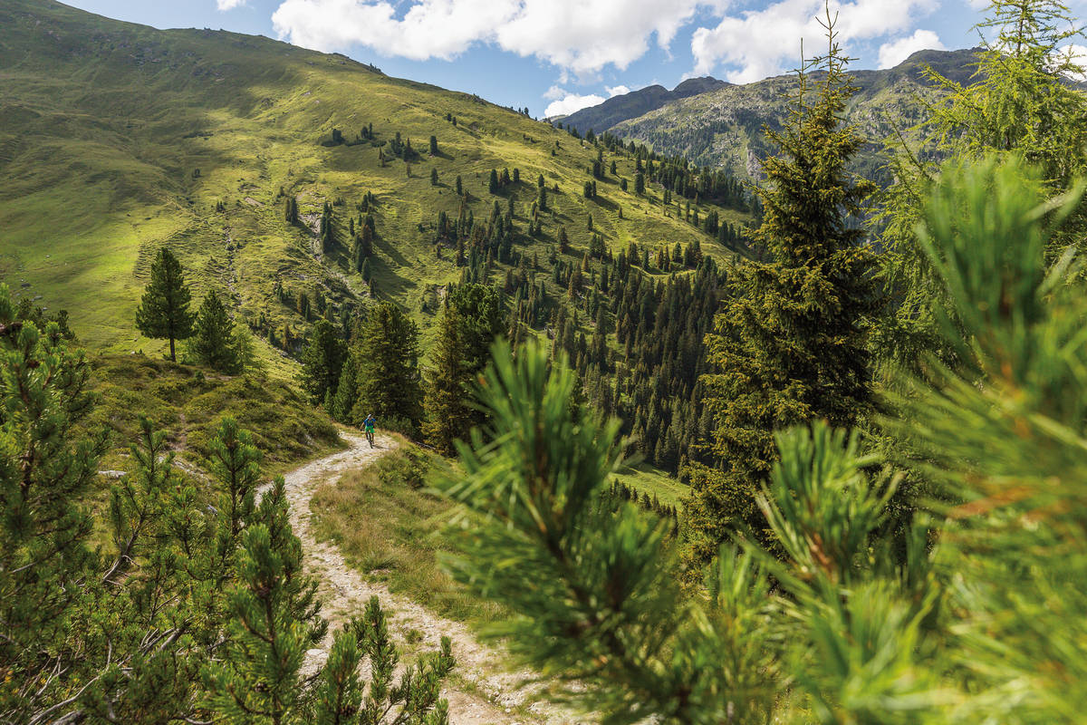 Grün, wohin das Auge Sieht: Unberührte Natur am Gerlosberg