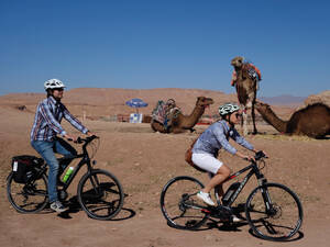 Nach der Besichtigung der alten Stadt Ait Benhaddou Weiterfahrt nach Tabourathe, vorbei an ruhenden Kamelen.