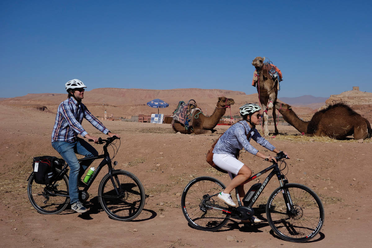 Nach der Besichtigung der alten Stadt Ait Benhaddou Weiterfahrt nach Tabourathe, vorbei an ruhenden Kamelen.