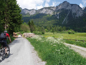 Noch geht es eben aus, doch der Kunkelspass ist in Sichtnähe.