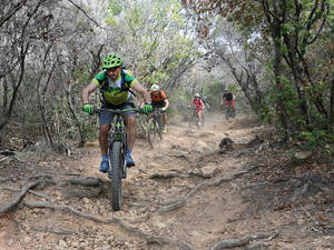 Schön in der Spur bleiben – die Trails fordern die Konzentration.