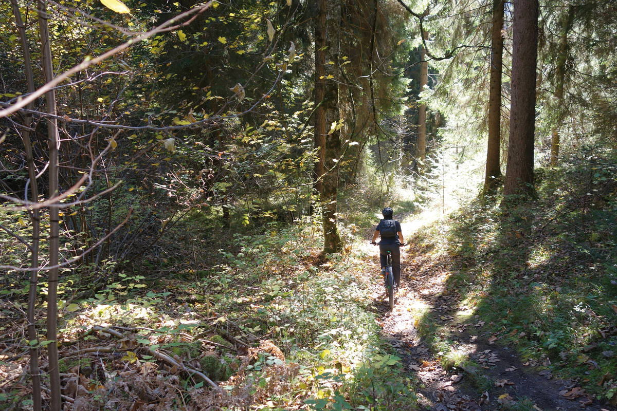 Durch den Fichtenwald geht es Downhill nach Salums in die Ebene der Surselva.