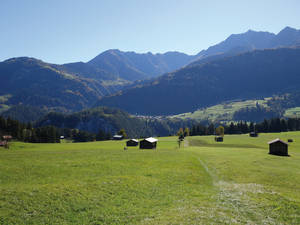 In der Surselva mit Blick nach Valendas, das 2013 mit Versam, Safien und Tenna zur Gemeinde Safiental fusionierte