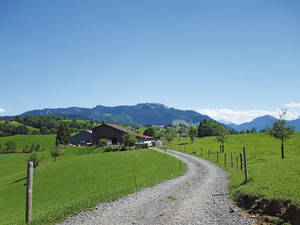 Auf Schottersträsschen, an Bauernhöfen vorbei, geht es sanft hinunter Richtung Walchwil.