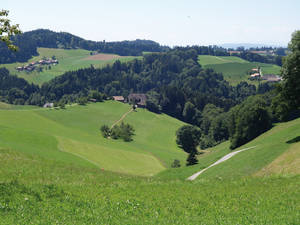 Im Emmental gibt es viele E-Bike-Fahrerinnen und -Fahrer – kein Wunder bei diesen Erhebungen und Senkungen der Topografie.