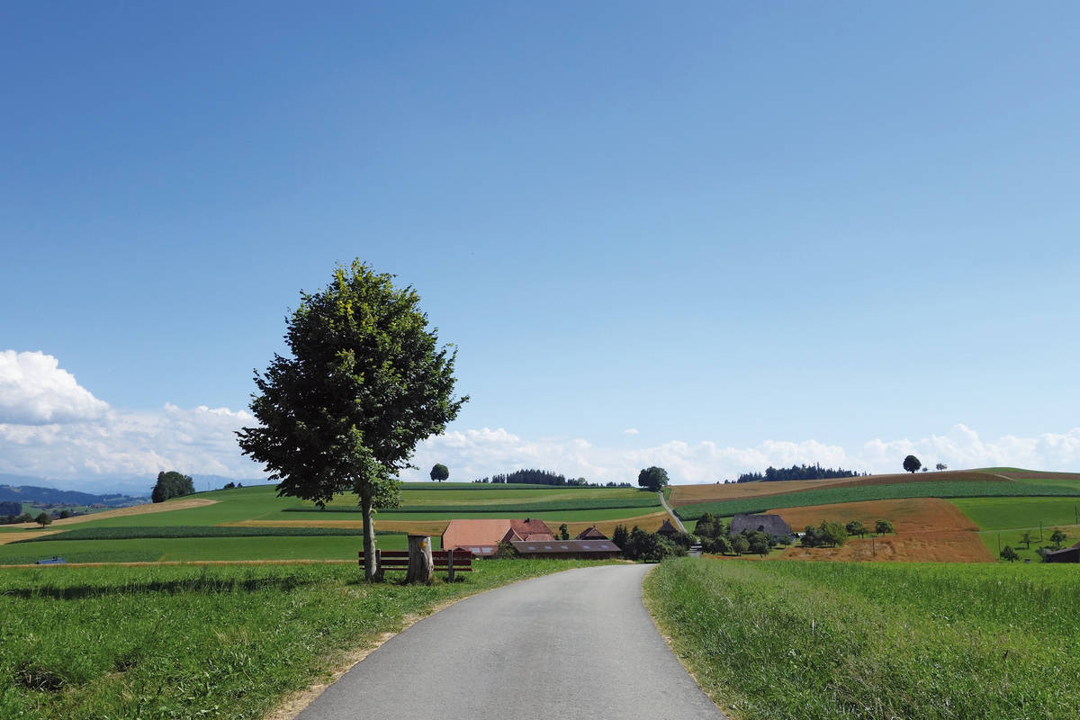 Es sich auf der Bank bequem machen und geniessen – ein Tag E-Biken im Emmental ist wie eine Woche Ferien.