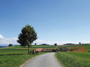 Es sich auf der Bank bequem machen und geniessen – ein Tag E-Biken im Emmental ist wie eine Woche Ferien.