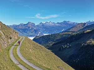 Auf dem Weg von der Alp Laui.