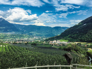 Von Algund nach Meran heisst es nur noch: ausrollen und Panorama geniessen.