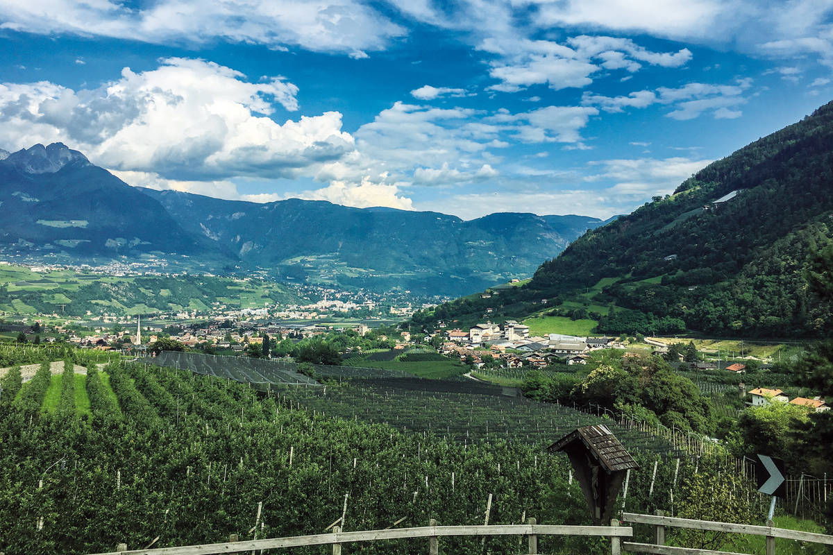 Von Algund nach Meran heisst es nur noch: ausrollen und Panorama geniessen.