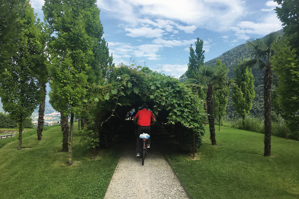 Romantische Hindernisse auf dem Radweg bei Algund: Hinter dem Blättertunnel erwartet die E-Biker ein schöner Rastplatz mit herrlicher Aussicht.