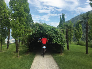 Romantische Hindernisse auf dem Radweg bei Algund: Hinter dem Blättertunnel erwartet die E-Biker ein schöner Rastplatz mit herrlicher Aussicht.