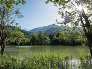 Von der Bündner Herrschaft erblickt man immer wieder den Rhein, zu dem man am Ende der Tour wieder hinunter und von da zurück nach Bad Ragaz fährt.