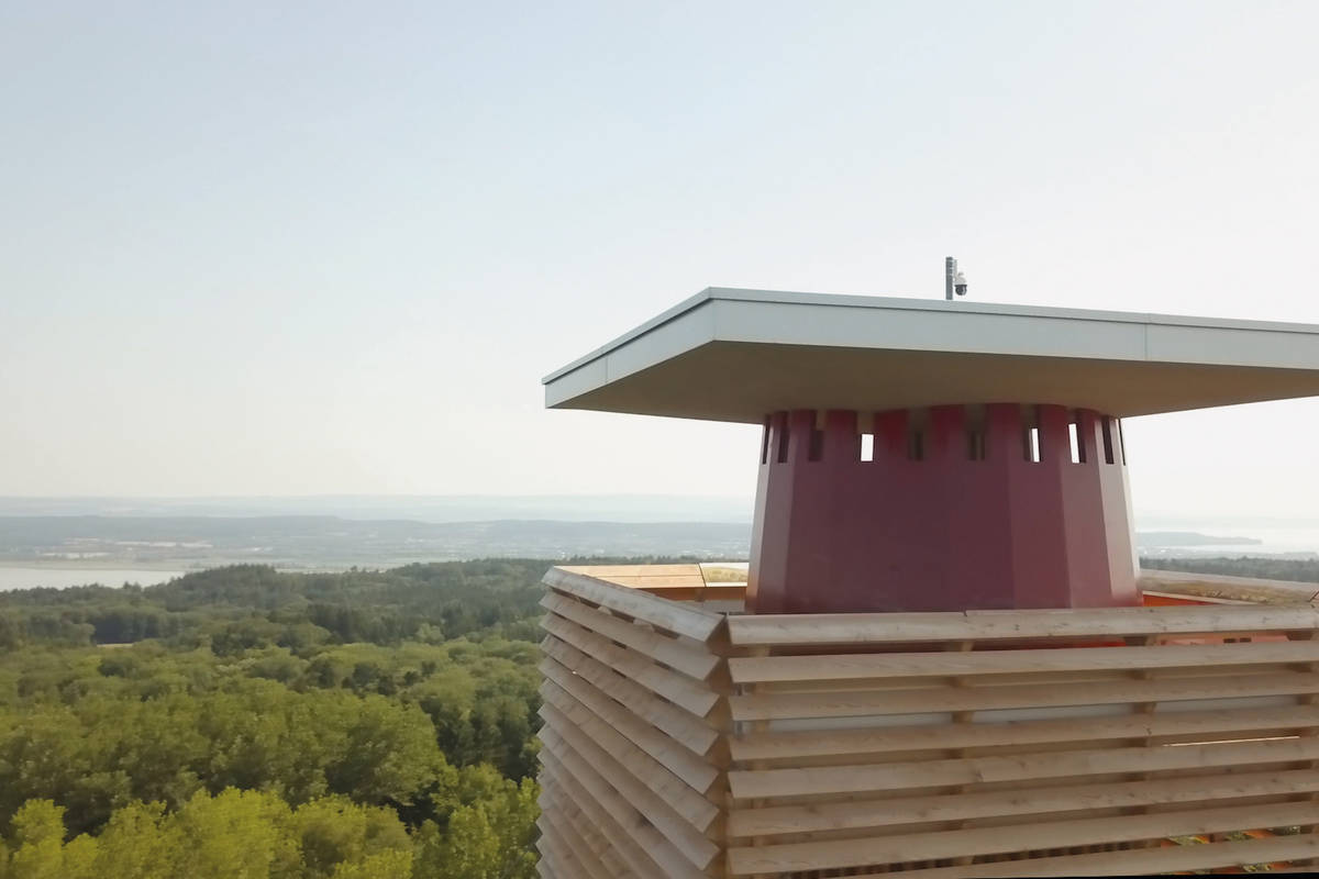 Von der Aussichtsplattform des Turmes erhascht man einen Blick auf den fernen Bodensee. Bild: Thurgau Bodensee Tourismus