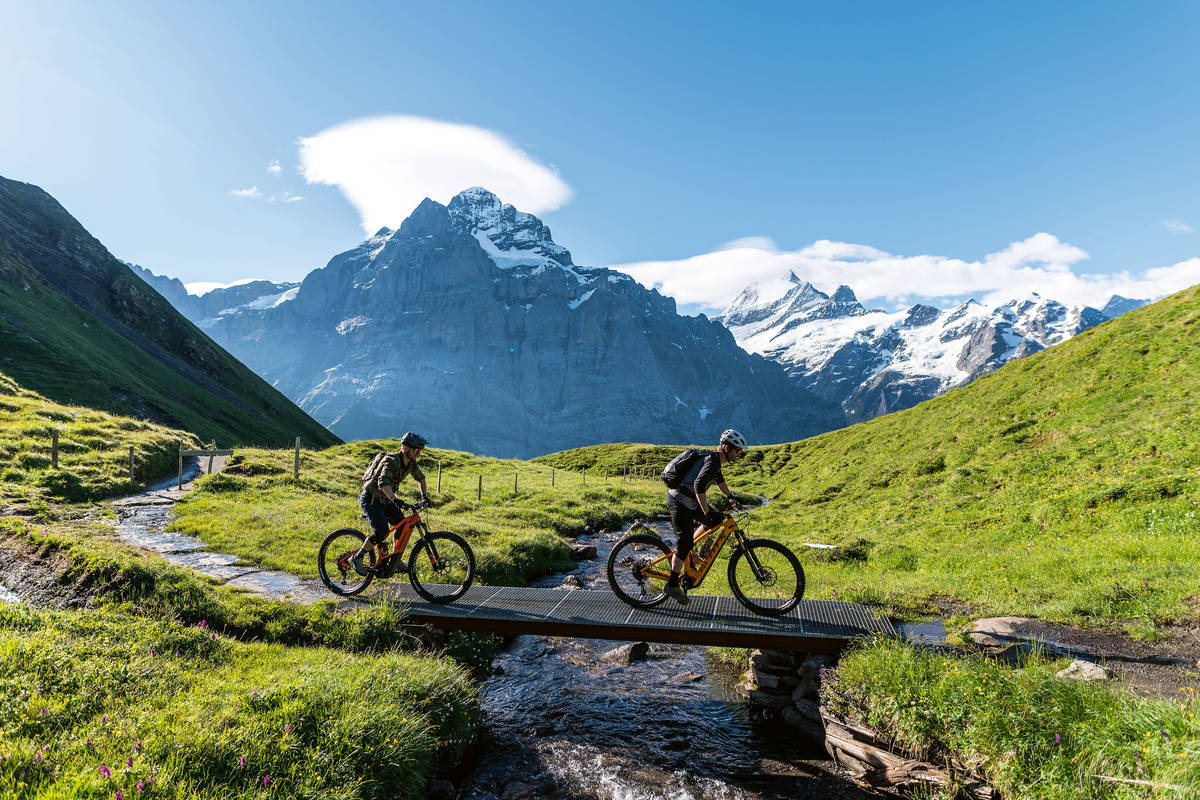 Auf verschlungenen Wegen die Aussicht geniessen: auch das ist der Bachalpsee-Trail.