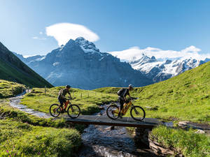 Auf verschlungenen Wegen die Aussicht geniessen: auch das ist der Bachalpsee-Trail.