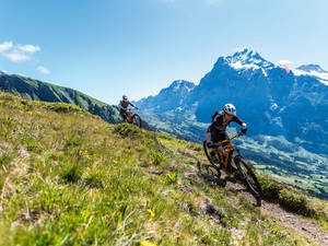 Hoch über Grindelwald führt der Trail entlang der Bergflanke zurück ins Tal.