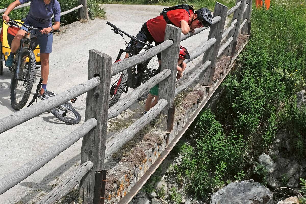 Tigi hat angehalten, um das wild plätschernde Wasser im Bergbach zu beobachten.