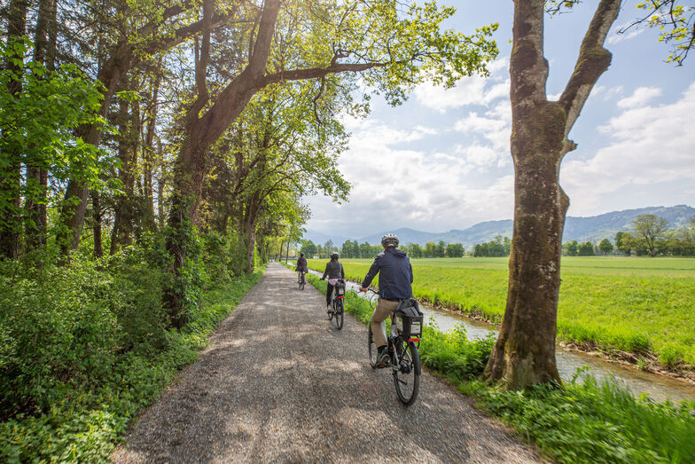 Richtung Rheintal wird das Terrain wieder flacher aber nicht weniger aussichtsreich. Foto: © Thomas Egger