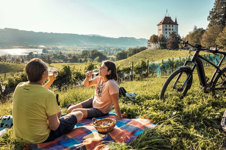 Hoch über dem Baldeggersee erhebt sich das Schloss Heidegg. Es beherbergt ein Museum, das sich der regionalen Geschichte der vergangenen 800 Jahre widmet. Inmitten einer weitgehend erhaltenen Park- und Kulturlandschaft lässt sich ein Picknick geniessen.